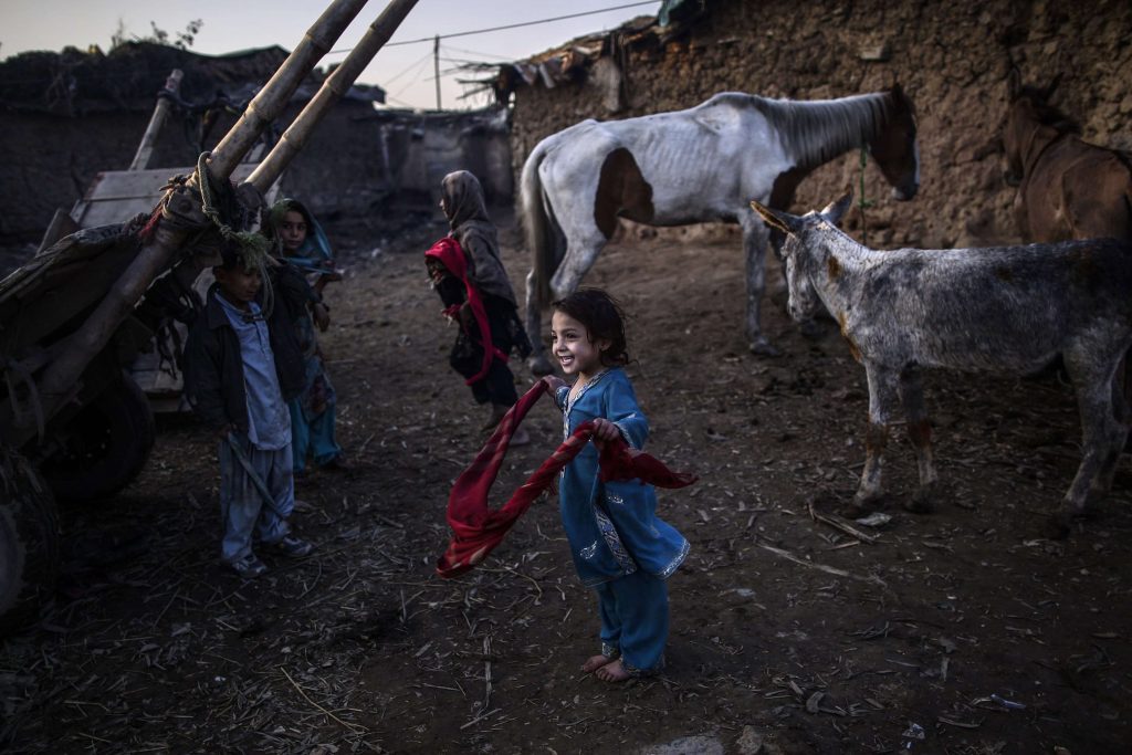 Image related to refugee support and community